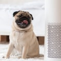 Do Air Filters Help with Pet Allergies?